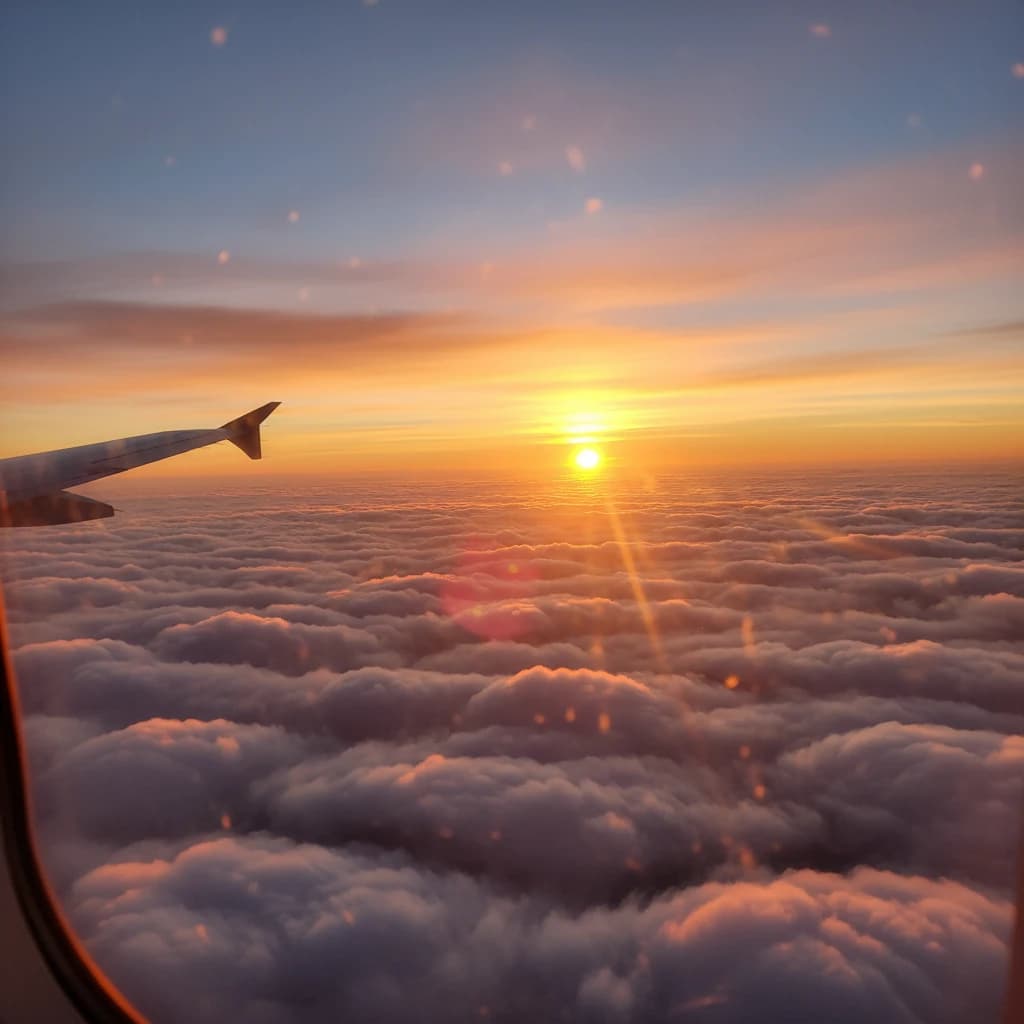 雲海を望む飛行機の窓