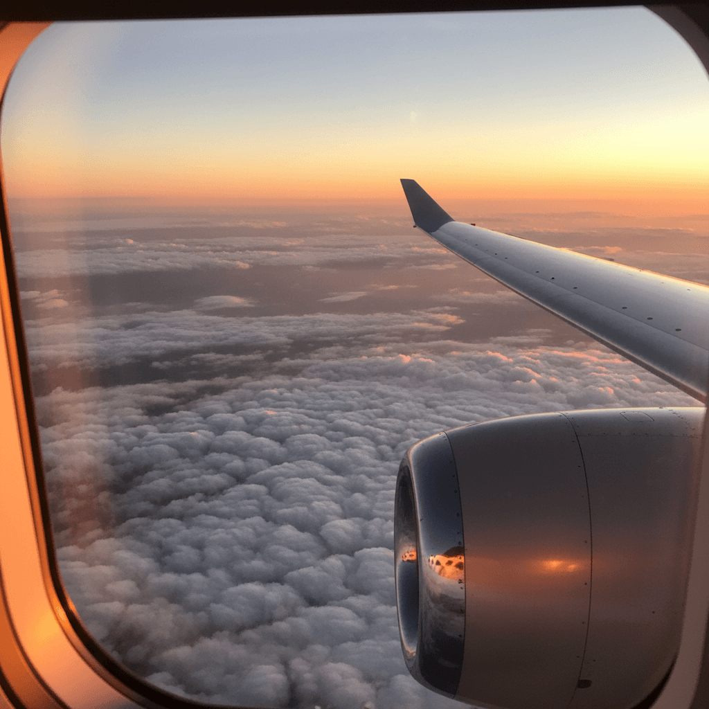 雲海の上を飛ぶ航空機の窓からの景色。ゴールデンアワーの光が差し込む美しい旅の瞬間。